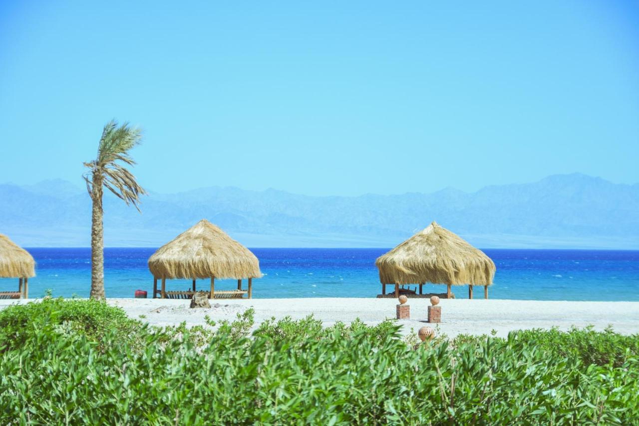 Safari Beach Nuweiba` Exteriér fotografie