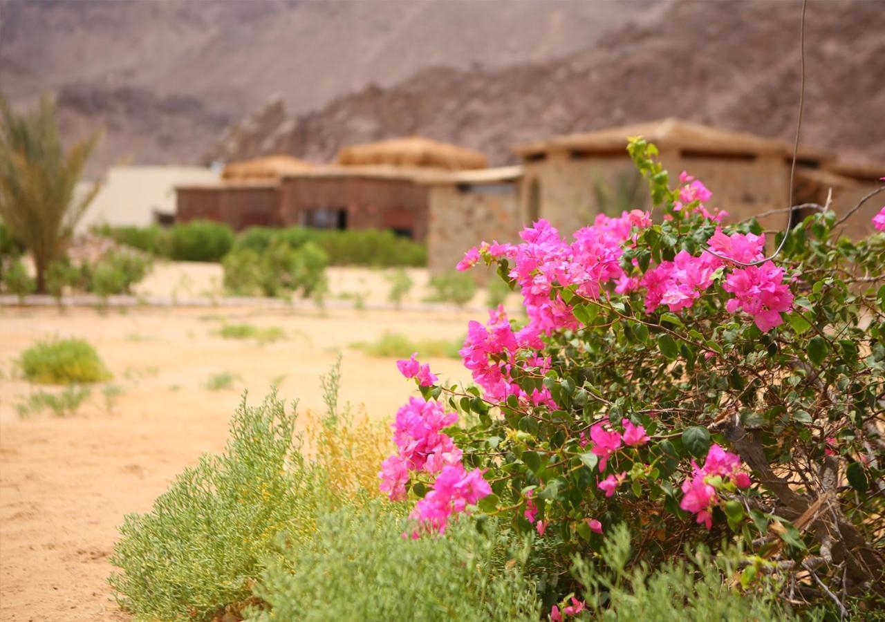 Safari Beach Nuweiba` Exteriér fotografie