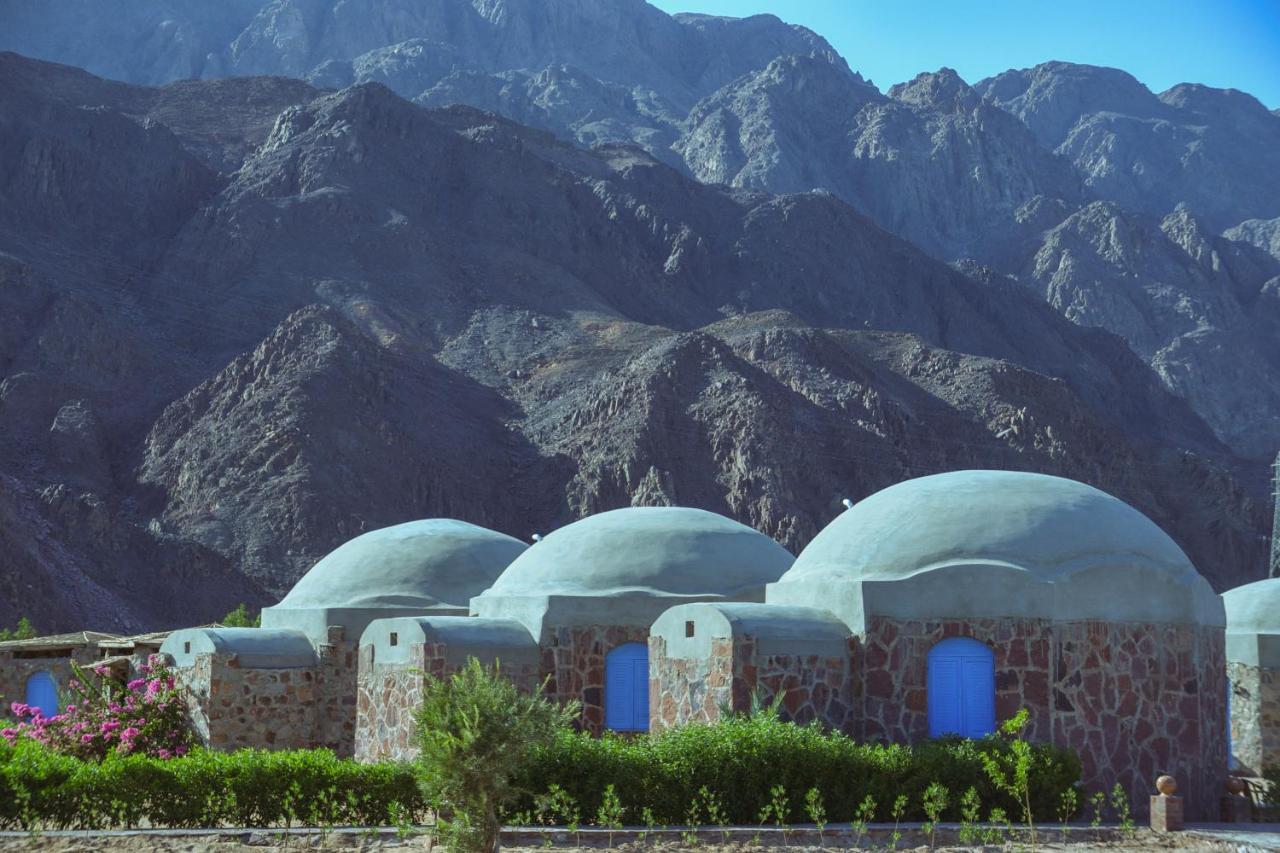 Safari Beach Nuweiba` Exteriér fotografie